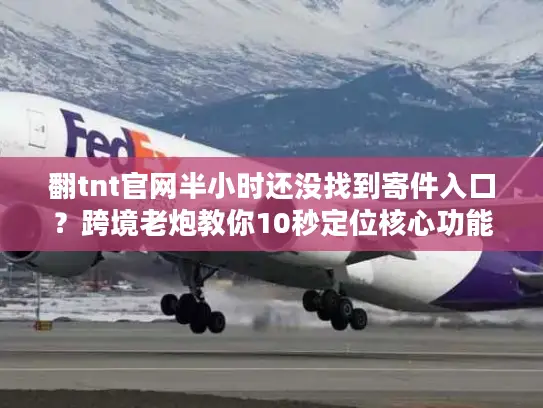 翻tnt官网半小时还没找到寄件入口？跨境老炮教你10秒定位核心功能