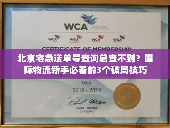 北京宅急送单号查询总查不到？国际物流新手必看的3个破局技巧