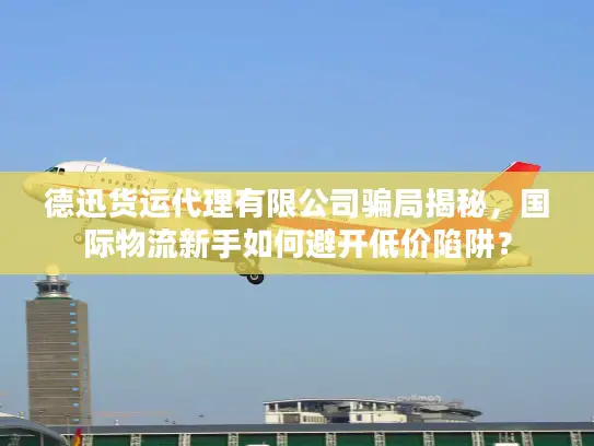 德迅货运代理有限公司骗局揭秘，国际物流新手如何避开低价陷阱？