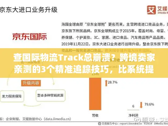 查国际物流Track总崩溃？跨境卖家亲测的3个精准追踪技巧，比系统提醒还好用
