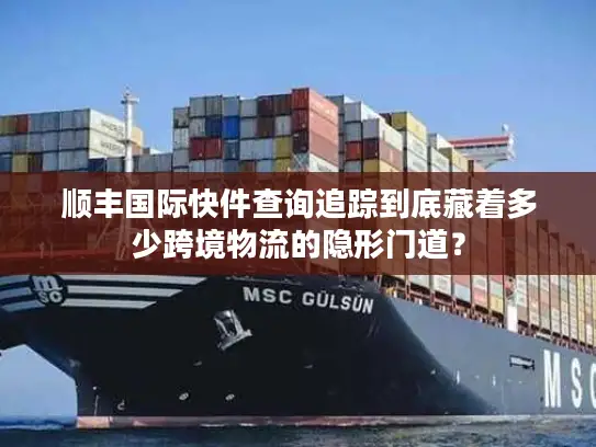 顺丰国际快件查询追踪到底藏着多少跨境物流的隐形门道？