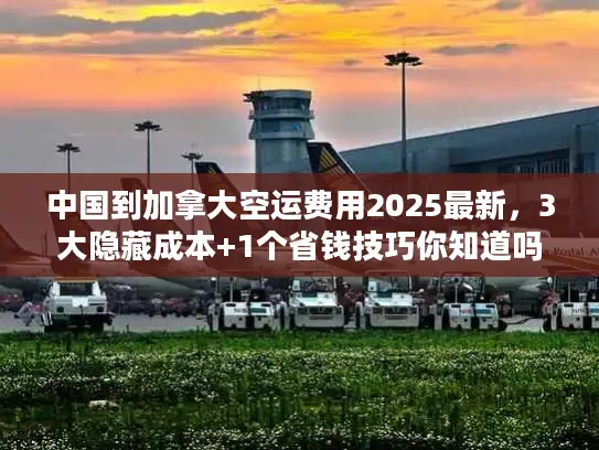 中国到加拿大空运费用2025最新，3大隐藏成本+1个省钱技巧你知道吗？