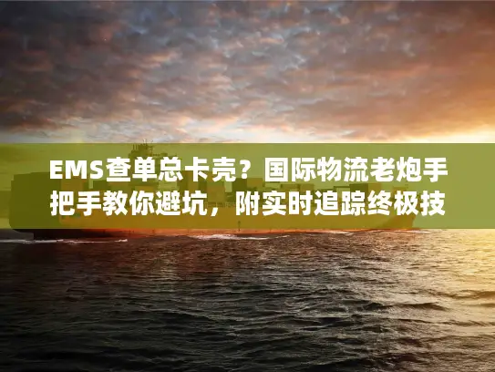EMS查单总卡壳？国际物流老炮手把手教你避坑，附实时追踪终极技巧