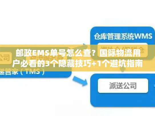 邮政EMS单号怎么查？国际物流用户必看的3个隐藏技巧+1个避坑指南