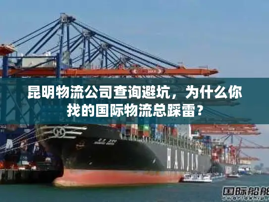 昆明物流公司查询避坑，为什么你找的国际物流总踩雷？