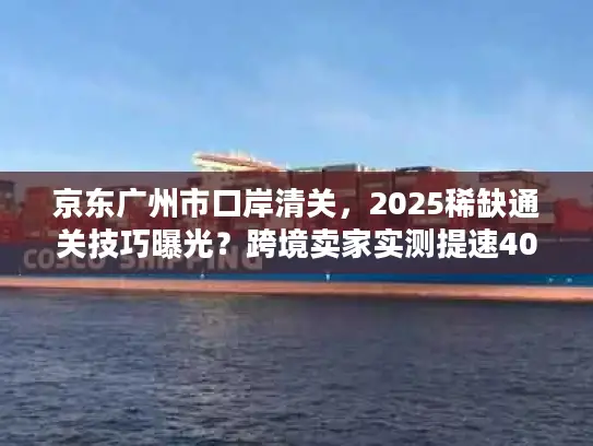 京东广州市口岸清关，2025稀缺通关技巧曝光？跨境卖家实测提速40%的秘密