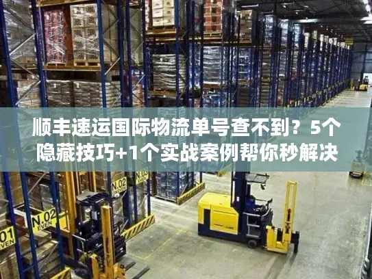 顺丰速运国际物流单号查不到？5个隐藏技巧+1个实战案例帮你秒解决！