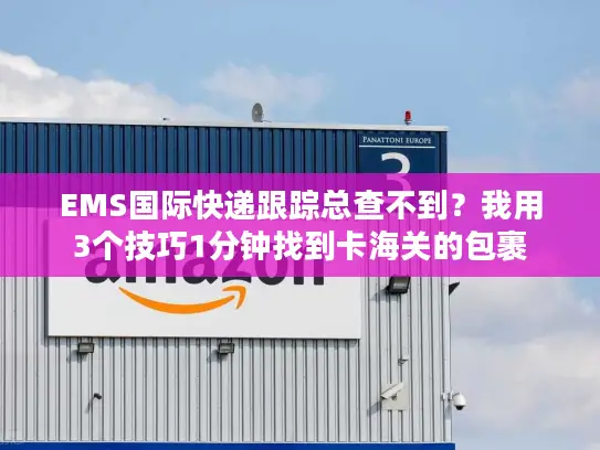 EMS国际快递跟踪总查不到？我用3个技巧1分钟找到卡海关的包裹