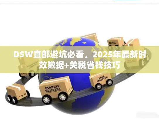 DSW直邮避坑必看，2025年最新时效数据+关税省钱技巧