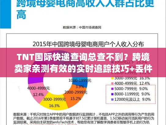 TNT国际快递查询总查不到？跨境卖家亲测有效的实时追踪技巧+丢件急救方案