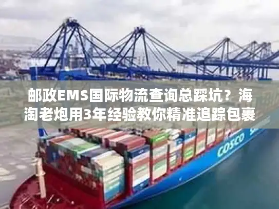 邮政EMS国际物流查询总踩坑？海淘老炮用3年经验教你精准追踪包裹