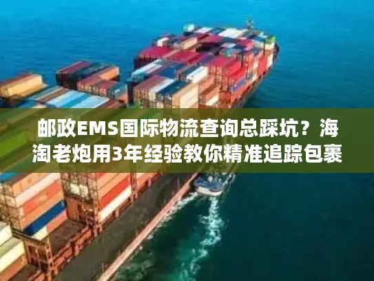 邮政EMS国际物流查询总踩坑？海淘老炮用3年经验教你精准追踪包裹