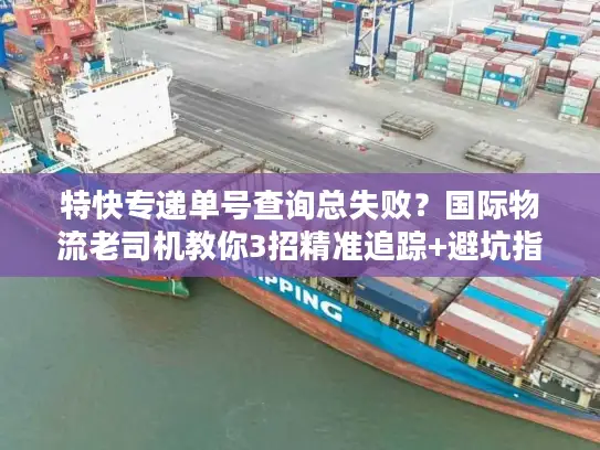 特快专递单号查询总失败？国际物流老司机教你3招精准追踪+避坑指南