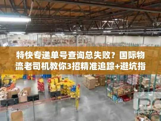特快专递单号查询总失败？国际物流老司机教你3招精准追踪+避坑指南