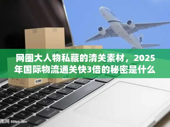网圈大人物私藏的清关素材，2025年国际物流通关快3倍的秘密是什么？