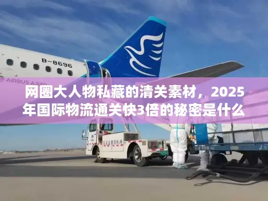 网圈大人物私藏的清关素材，2025年国际物流通关快3倍的秘密是什么？