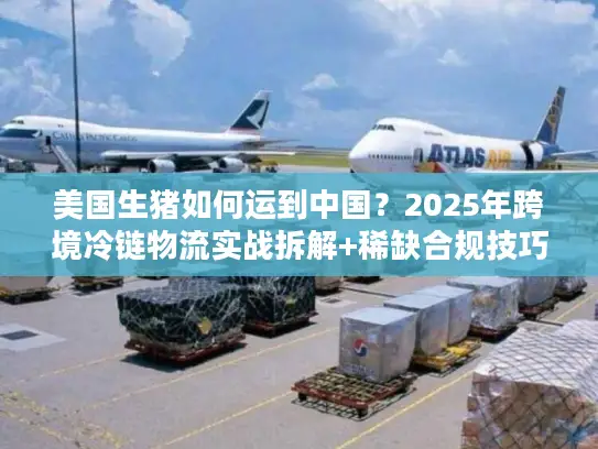 美国生猪如何运到中国？2025年跨境冷链物流实战拆解+稀缺合规技巧