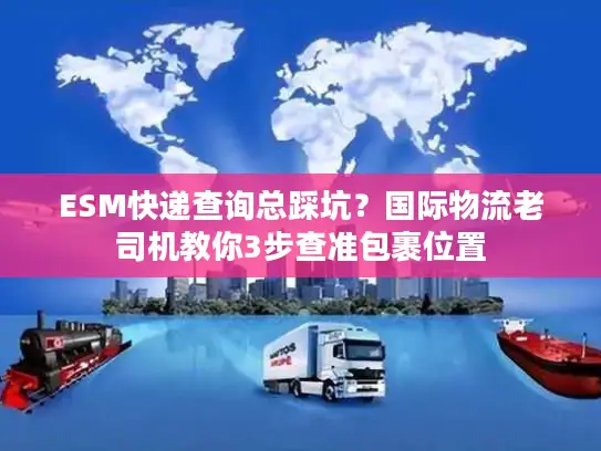 ESM快递查询总踩坑？国际物流老司机教你3步查准包裹位置