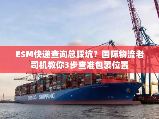 ESM快递查询总踩坑？国际物流老司机教你3步查准包裹位置