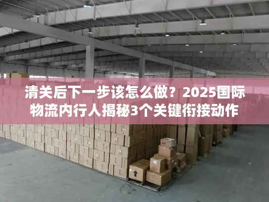 清关后下一步该怎么做？2025国际物流内行人揭秘3个关键衔接动作