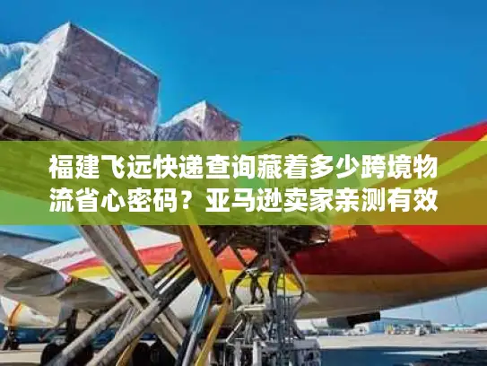 福建飞远快递查询藏着多少跨境物流省心密码？亚马逊卖家亲测有效