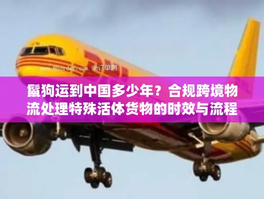 鬣狗运到中国多少年？合规跨境物流处理特殊活体货物的时效与流程