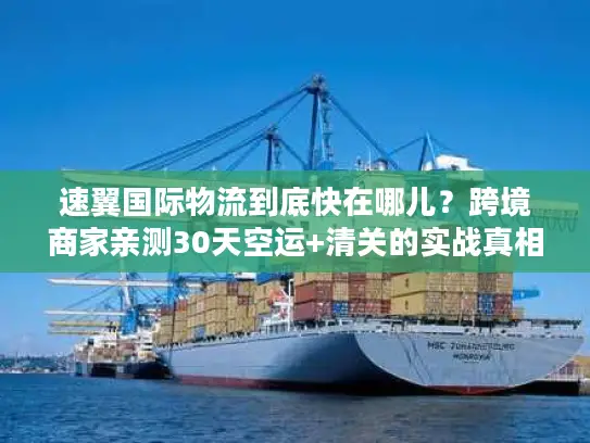 速翼国际物流到底快在哪儿？跨境商家亲测30天空运+清关的实战真相