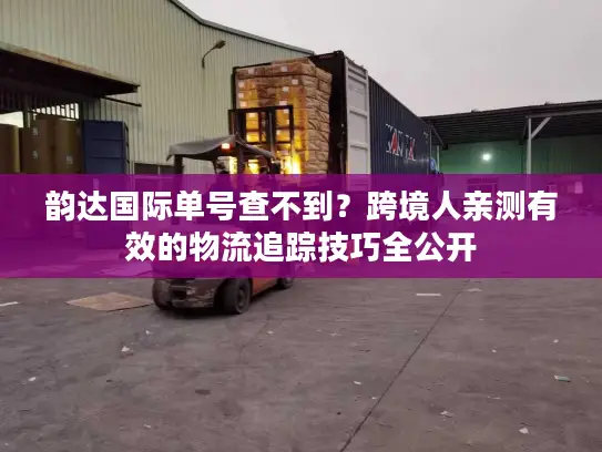 韵达国际单号查不到？跨境人亲测有效的物流追踪技巧全公开