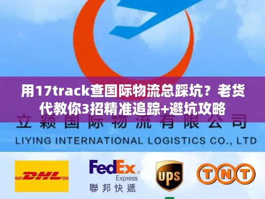 用17track查国际物流总踩坑？老货代教你3招精准追踪+避坑攻略