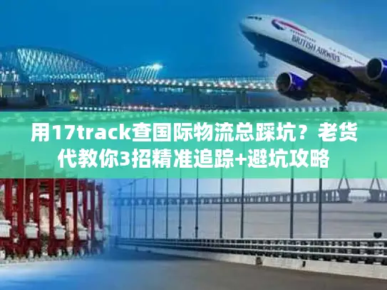 用17track查国际物流总踩坑？老货代教你3招精准追踪+避坑攻略