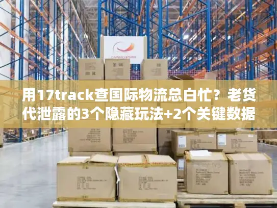 用17track查国际物流总白忙？老货代泄露的3个隐藏玩法+2个关键数据