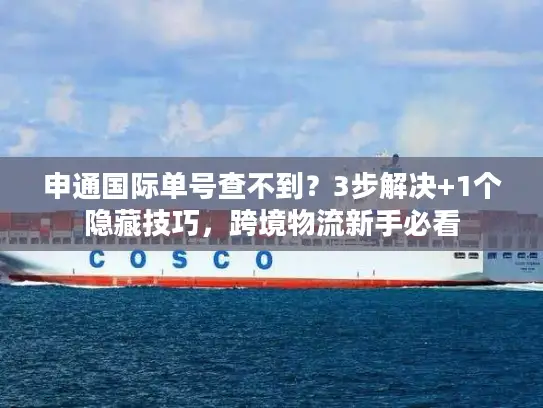 申通国际单号查不到？3步解决+1个隐藏技巧，跨境物流新手必看