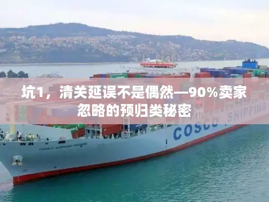 坑1，清关延误不是偶然—90%卖家忽略的预归类秘密