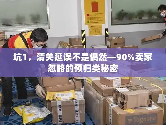 坑1，清关延误不是偶然—90%卖家忽略的预归类秘密