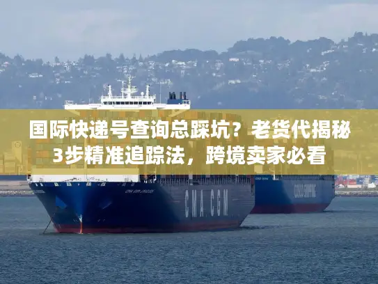国际快递号查询总踩坑？老货代揭秘3步精准追踪法，跨境卖家必看