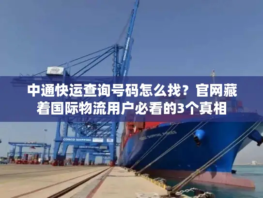 中通快运查询号码怎么找？官网藏着国际物流用户必看的3个真相