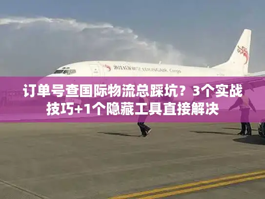 订单号查国际物流总踩坑？3个实战技巧+1个隐藏工具直接解决