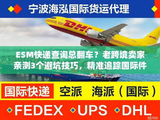ESM快递查询总翻车？老跨境卖家亲测3个避坑技巧，精准追踪国际件超省心