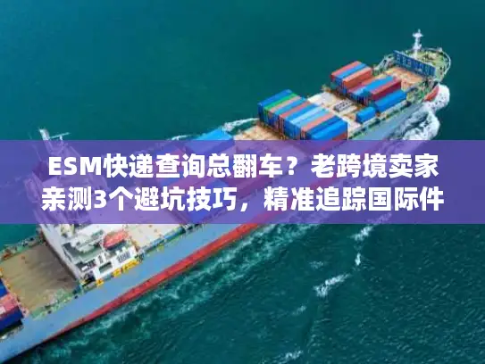 ESM快递查询总翻车？老跨境卖家亲测3个避坑技巧，精准追踪国际件超省心