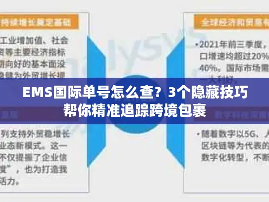 EMS国际单号怎么查？3个隐藏技巧帮你精准追踪跨境包裹