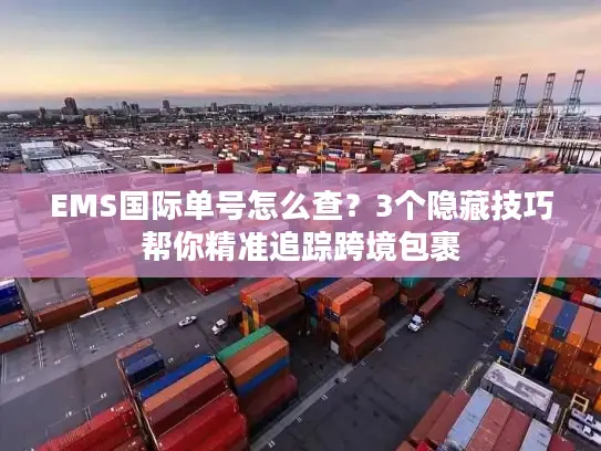 EMS国际单号怎么查？3个隐藏技巧帮你精准追踪跨境包裹