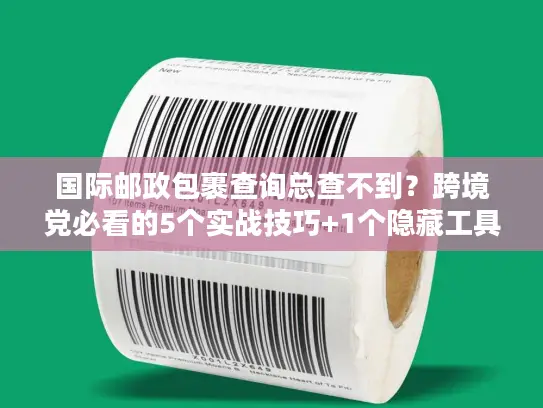 国际邮政包裹查询总查不到？跨境党必看的5个实战技巧+1个隐藏工具