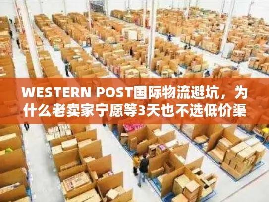 WESTERN POST国际物流避坑，为什么老卖家宁愿等3天也不选低价渠道？