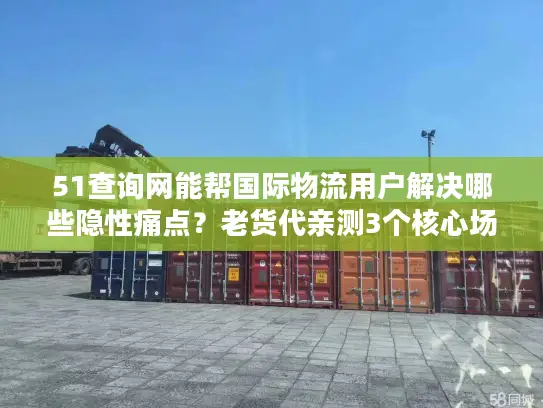 51查询网能帮国际物流用户解决哪些隐性痛点？老货代亲测3个核心场景