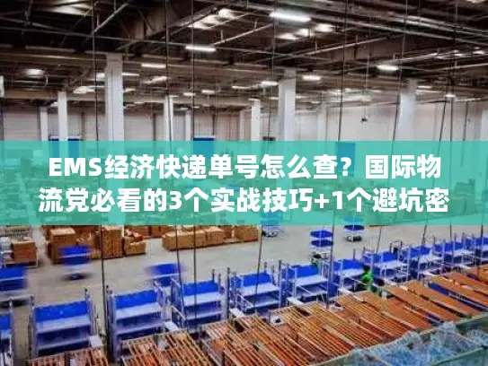 EMS经济快递单号怎么查？国际物流党必看的3个实战技巧+1个避坑密码