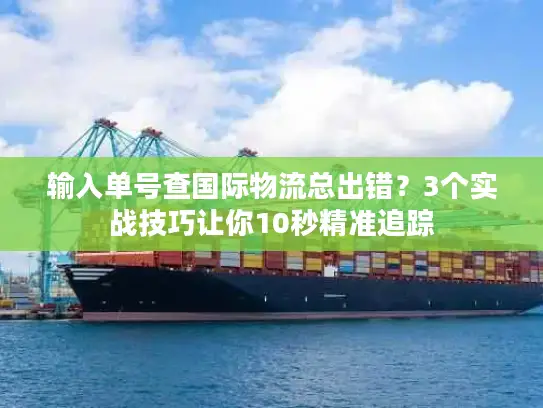 输入单号查国际物流总出错？3个实战技巧让你10秒精准追踪