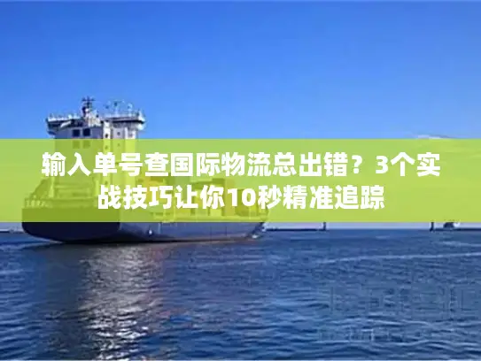 输入单号查国际物流总出错？3个实战技巧让你10秒精准追踪