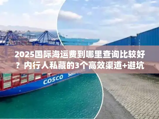 2025国际海运费到哪里查询比较好？内行人私藏的3个高效渠道+避坑技巧