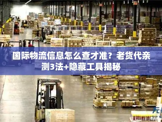 国际物流信息怎么查才准？老货代亲测3法+隐藏工具揭秘