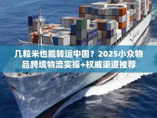 几粒米也能转运中国？2025小众物品跨境物流实操+权威渠道推荐